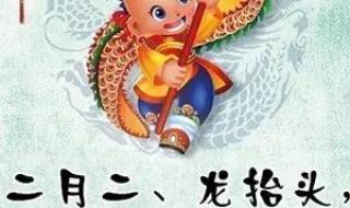 今年二月二真有龙抬头