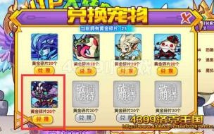 洛克王国VIP迷宫5什么宠物 洛克王国vip宠物大全
