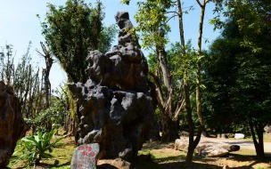 云南瑞丽是哪个市靠近西双版纳 瑞丽离西双版纳有多远
