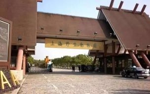 上海野生动物园臭吗 上海野生动物园好玩吗