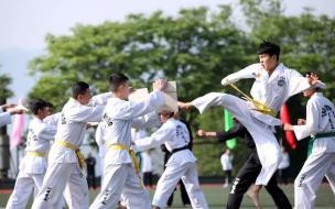 陕西机电职业技术学院如何转专业 陕西机电职业技术学院